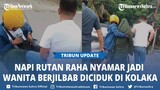 BREAKING NEWS Napi Rutan Raha Nyamar Wanita Berjilbab Diciduk Aparat Polres Kolaka Sulawesi Tenggara