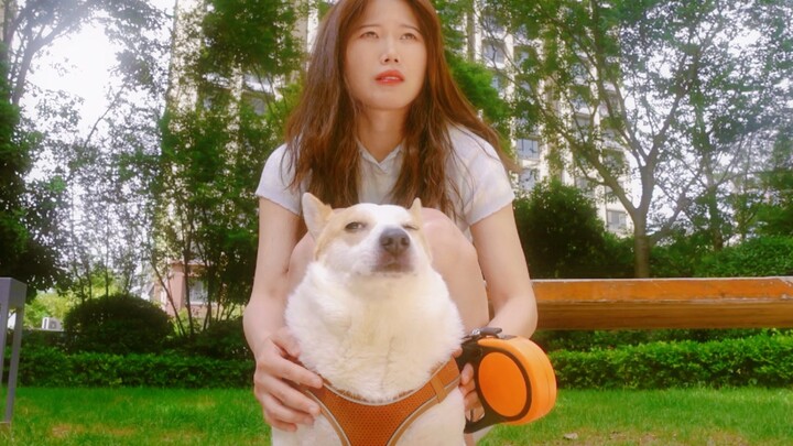 Teman si anjing tidak membawa ponsel, jadi kita hanya bisa menunggunya di sini hingga datang