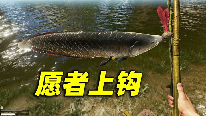 愿 者 上 钩