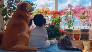Cutest Animals Video Compilations