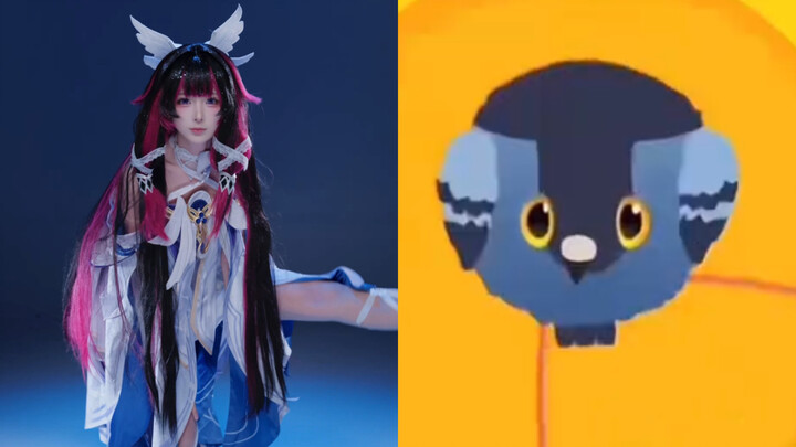 Crazy Pigeon Race (If You Don’t Laugh After Watching, I’ll Eat My Hat!)