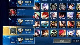 Zhang Fei: What bad luck! None of the four national servers can play support?