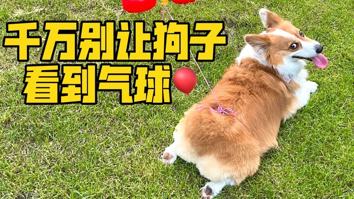 แค่คำเดียวจากคุณลุงก็ทำกระเป๋าฉันแทบแห้งเลย!