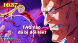 [One Piece 1037+]. Trái nào đã bị đổi tên: TAQ Thời Gian, Trái thuần hoá,…?
