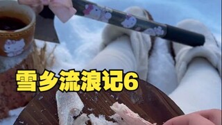 التجوال في بلاد الثلج 6