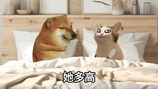 反诈中心都救不了的女朋友