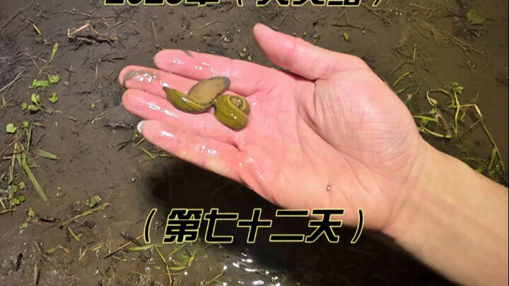 贵州第二天这不就好起来了么
