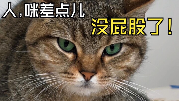 Does being loved make your butt grow insanely big?