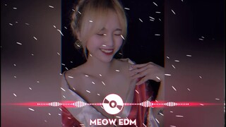Mood Remix -24kgold Thailand remix ♫ Top Nhạc Thái Lan Hot Trend Tik Tok 2021 | MEOW EDM