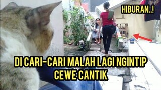 Kucing Paling Lucu Di Suruh Makan Malah Ngintip Cewe Cantik..!