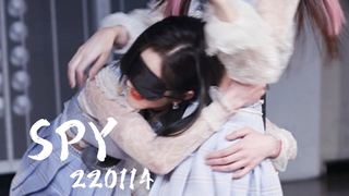 【تشينغ باو】التركيز|جاسوس معصوب العينين~ درجة الانسجام مائة بالمائة!