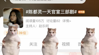 Cat meme | How I fell in love with Chen Duling, this hot woman
