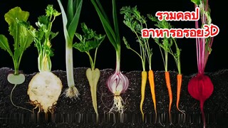 รวมคลิป อาหารอร่อย3D