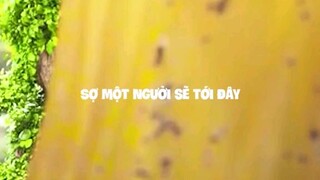 hơi dài ráng xem đê