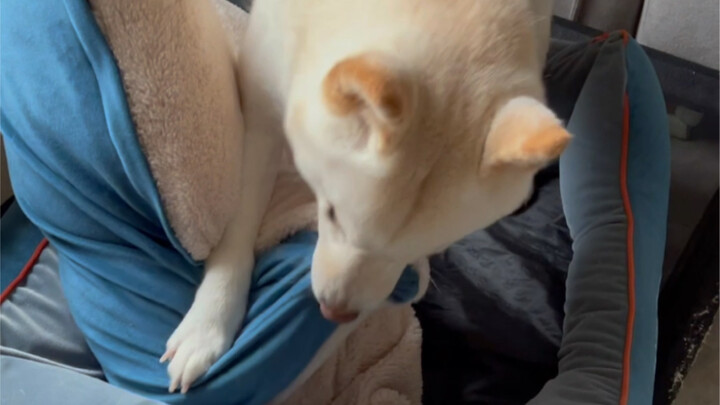 Mom's Big Boy (The Outcome Is Always the Same)