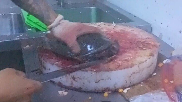 live cooking of turtle