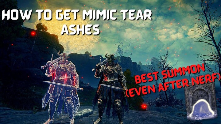 Mimic Tear Location guide, this is one summon you don't wanna miss out on.