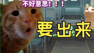 [Cooked Meat] The Daily Life of a Bus Driver (About to Be Revealed) | Cat Meme
