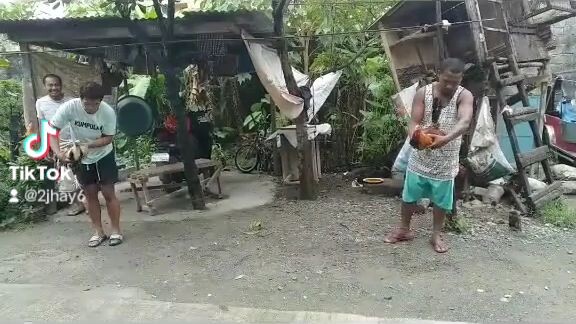 matandang talisay na alaga ko. 1 hit punit