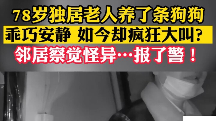 Seorang lansia yang tinggal sendirian memelihara seekor anjing yang penurut dan tenang, tapi tiba-ti