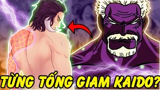 Kaido Từng Bị Tống Giam! | Những Kẻ Từng Hạ Gục Kaido Trong Quá Khứ