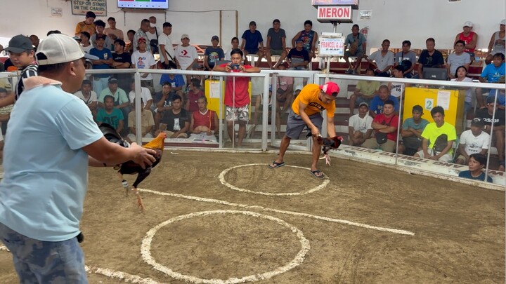Stag na parang cock sa diskarte.. pasado sa exam