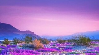 音乐