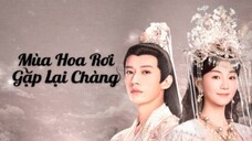 Tập 12| Mùa hoa rơi gặp lại chàng - Love Never Fails ( Lưu Học Nghĩa ,Hồ Ý Hoàn)