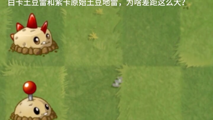 Why is there such a big difference between the White Card Potato Mine and the Purple Card Primal Pot