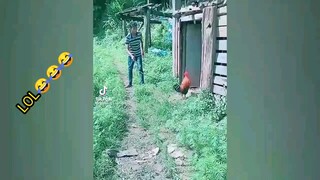 Pt.17 Compilation funny LOL😂