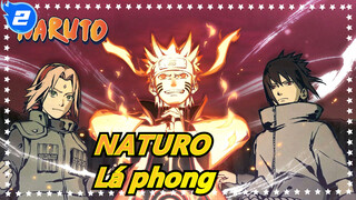 NATURO|【1080 P】Bộ sưu tập lá phong! Thổi tung tâm trí bạn luôn á!_2