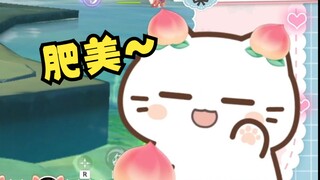 变身！桃子猫！