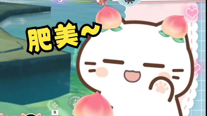 变身！桃子猫！