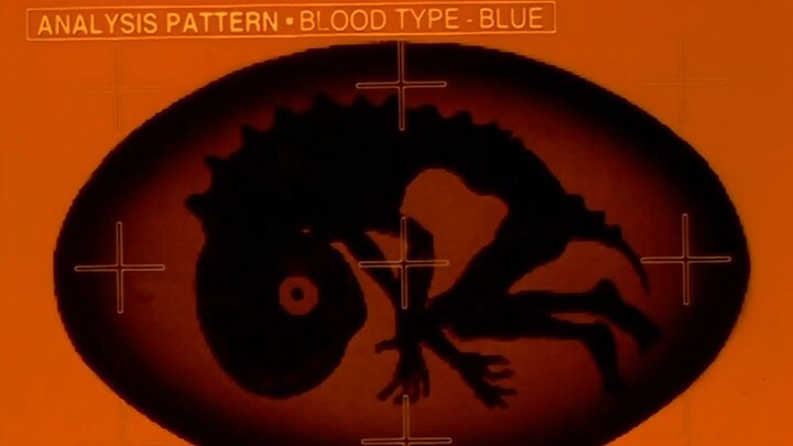 Neon Genesis Evangelion Ep10 Sub Indo