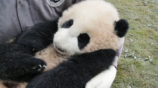 A baby is sleeping in dad's arms