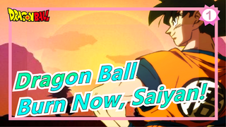 [Dragon Ball/AMV/MAD/Epic] Where Dream Begins, Burn Now, Saiyan! - Blizzard_1