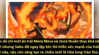 Sabo sẽ mang ngọn lửa màu xanh_