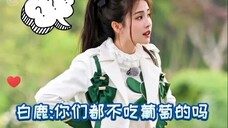 白鹿 -你们男生真的很难搞哎~要啥啥没有~都不吃葡萄的吗
