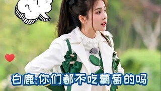 白鹿 -你们男生真的很难搞哎～要啥啥没有～都不吃葡萄的吗