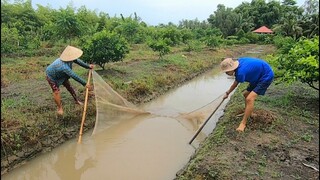Chị bảy cùng quí kéo lưới tép || việt miền tây