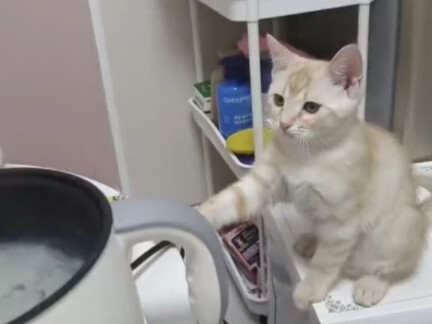 What are you eating? Let me try some.