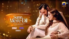 Sunn Mere Dil Ep 11