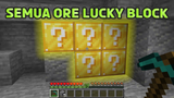Minecraft tapi Ore adalah LUCKY BLOCK!