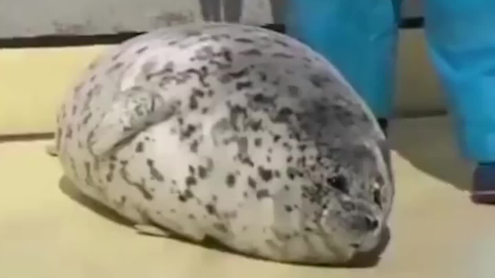 The comfort zone is just too comfortable.