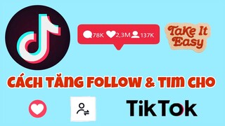 Cách Tăng Follow Và Tim Cho TikTok Cực Đơn Giản | Hồng Ngọc Tourguide