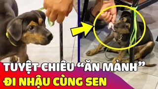 Phát hiện chiếc Boss được sen cho 'ĂN MẢNH' khi đi nhậu cùng 😅 Gâu Đần