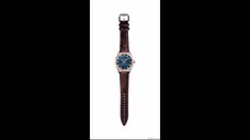 Omega Globemaster Watches