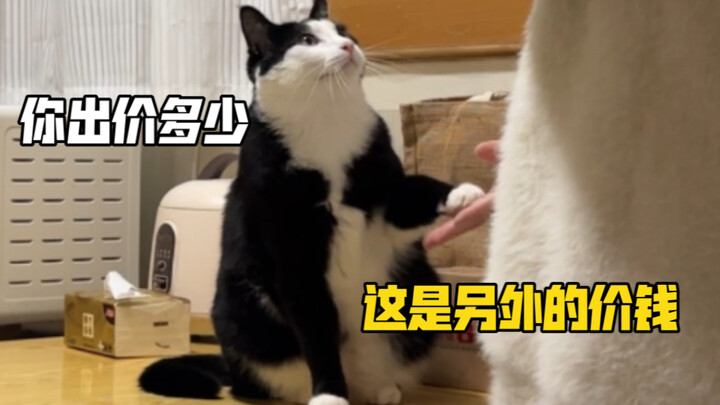 Why did handshake training end up turning into a deal? I hate it! I was so confident at first, but n