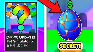 NEW SECRET PLACE UNLOCKED in Pet Simulator X! (Roblox)