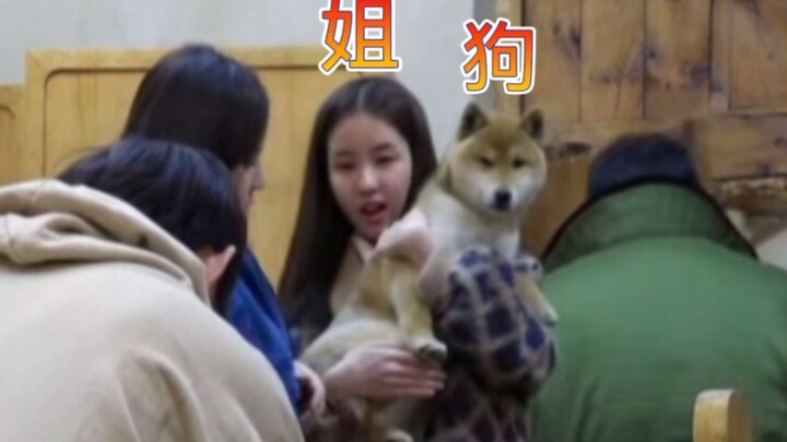 A lovely person who is very polite even to dogs